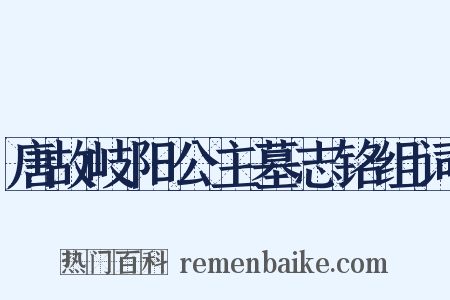 唐故岐阳公主墓志铭组词是什么意思的图片